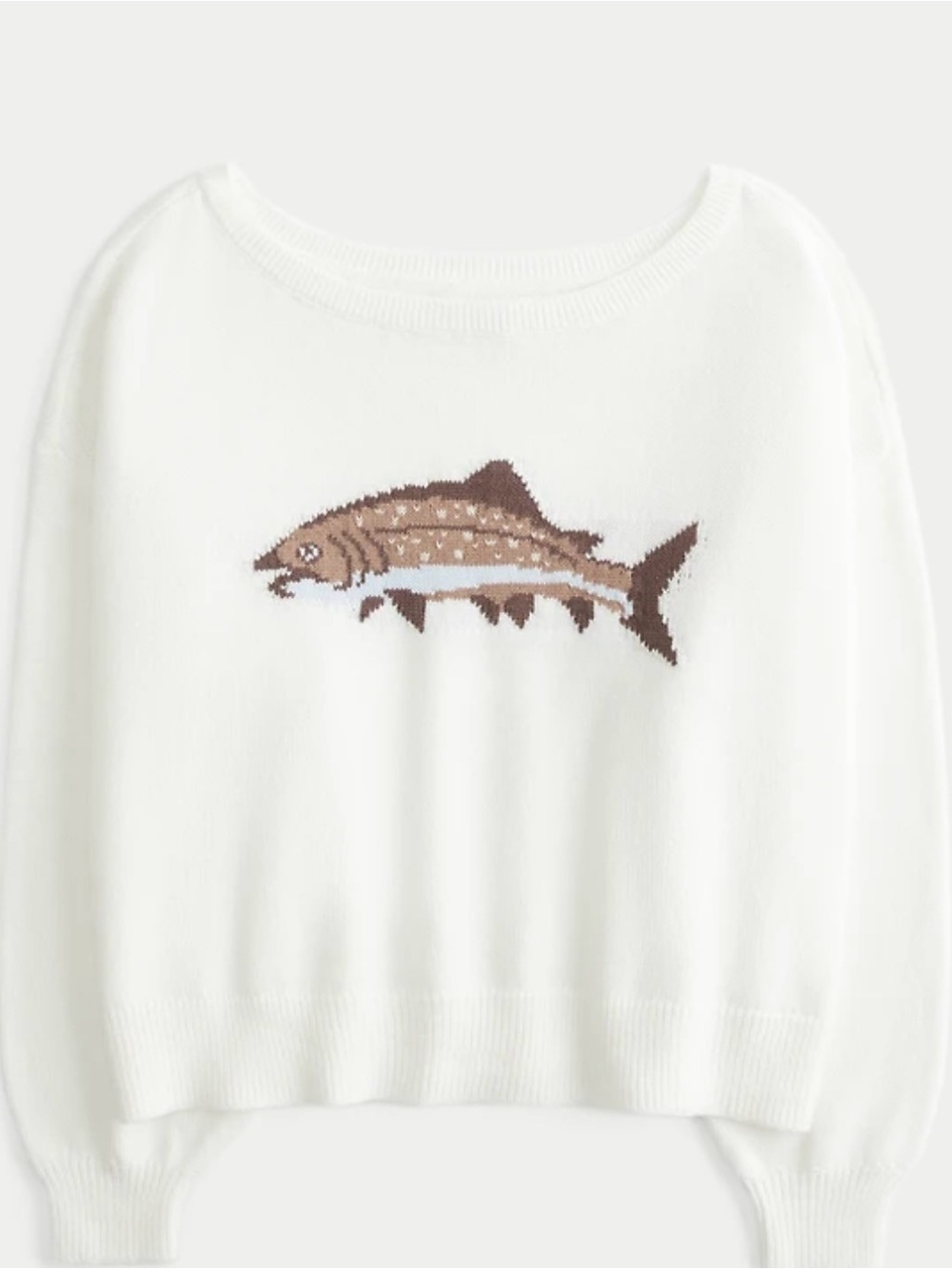 Hollister Easy Off-the-Shoulder Fish
Graphic Sweater